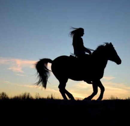 Esplora la Sicilia a Cavallo con Centro G.E.A Sanconese